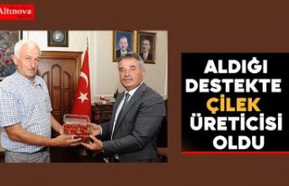 Büyükşehirden Aldığı Destekte Çilek Üreticisi...