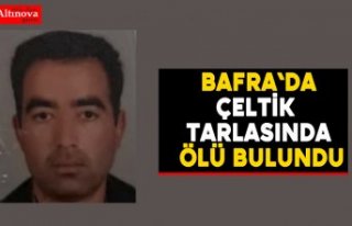 Çeltik tarlasında ölü bulundu