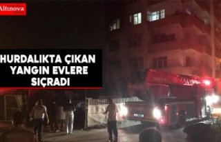 Hurdalıkta çıkan yangın evlere sıçradı