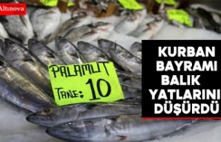 Kurban Bayramı balık fiyatlarını düşürdü