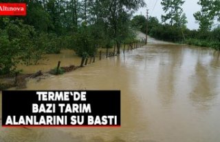 Terme'de bazı tarım alanlarını su bastı