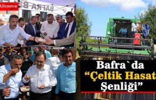 Bafra`da “Çeltik Hasat Şenliği”