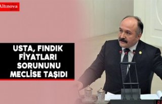 Usta, fındık fiyatları sorununu meclise taşıdı