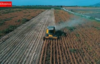 Çiftçiye 490 milyon liralık destek ödemesi