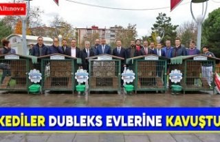 KEDİLER DUBLEKS EVLERİNE KAVUŞTU