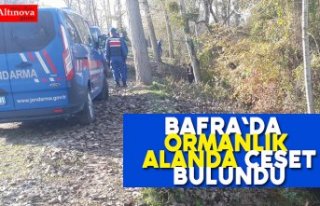 Bafra`da ormanlık alanda ceset bulundu