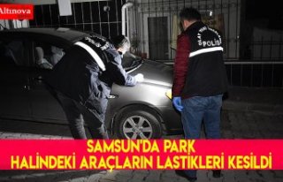 Samsun'da park halindeki araçların lastikleri...