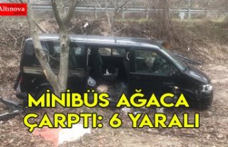 Minibüs ağaca çarptı: 6 yaralı