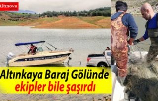 Altınkaya Baraj Gölünde ekipler bile şaşırdı