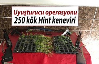 Uyuşturucu operasyonu