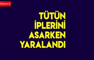 TÜTÜN İPLERİNİ ASARKEN YARALANDI