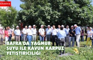 BAFRA'DA YAĞMUR SUYU İLE KAVUN KARPUZ YETİŞTİRİCİLİĞİ