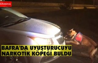 BAFRA'DA UYUŞTURUCUYU NARKOTİK KÖPEĞİ BULDU