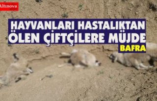 HAYVANLARI HASTALIKTAN ÖLEN ÇİFTÇİLERE MÜJDE