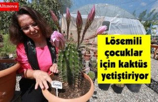 Lösemili çocuklar için kaktüs yetiştiriyor