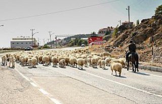 Yaylacılar dönüş yolculuğuna başladı