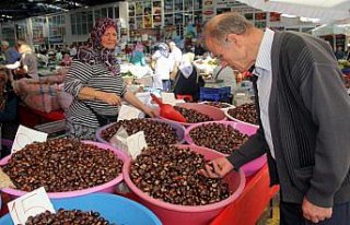 Kestanede rekolte beklentisi yüksek