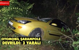 Otomobil şarampole devrildi: 3 yaralı