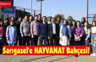 Sarıgazel'e HAYVANAT Bahçesi!