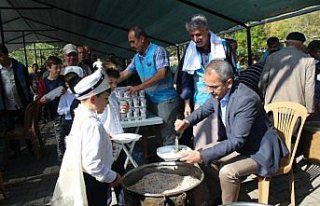 Tosya'da sünnet şöleni düzenlendi