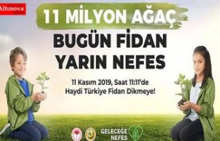 BAFRA 11 MİLYON AĞAÇ İÇİN BULUŞUYOR