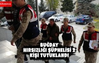 Buğday hırsızlığı şüphelisi 2 kişi tutuklandı