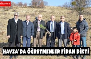 Havza'da öğretmenler fidan dikti