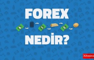 Forex nedir?