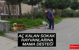 AÇ KALAN SOKAK HAYVANLARINA MAMA DESTEĞİ