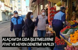 ALAÇAM’DA GIDA İŞLETMELERİNE FİYAT VE HİJYEN...