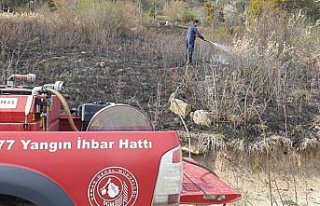 Mudurnu'da mezarlıkta yangın çıktı