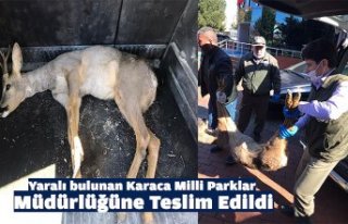 Yaralı bulunan Karaca Milli Parklar Müdürlüğüne...