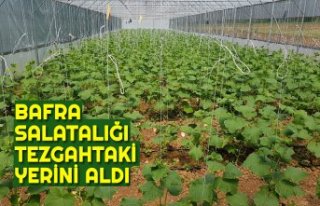 BAFRA SALATALIĞI TEZGAHTAKİ YERİNİ ALDI