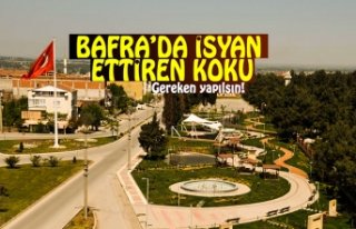 BAFRA’DA LAĞIM KOKUSU TÜM ŞEHRİ SARDI