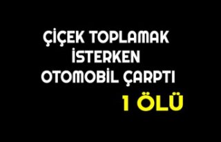 ÇİÇEK TOPLAMAK İSTERKEN OTOMOBİL ÇARPTI