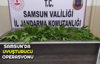 SAMSUN'DA UYUŞTURUCU OPERASYONU 