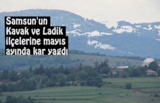 Samsun'un Kavak ve Ladik ilçelerine mayıs ayında...