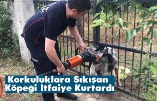 Korkuluklara Sıkışan Köpeği İtfaiye Kurtardı