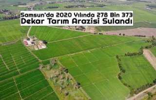 Samsun’da 2020 Yılında 278 Bin 373 Dekar Tarım...