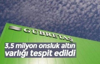 3,5 milyon onsluk altın varlığı tespit edildi