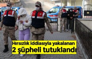 Hırsızlık iddiasıyla yakalanan 2 şüpheli tutuklandı