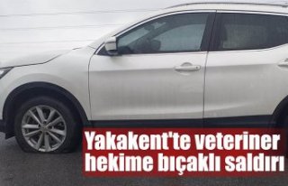 Yakakent'te veteriner hekime bıçaklı saldırı