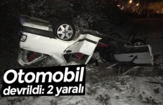 Otomobil devrildi: 2 yaralı