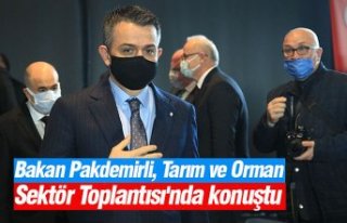 Bakan Pakdemirli, Tarım ve Orman Sektör Toplantısı'nda...