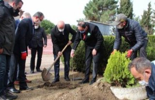 Bafra’da 21 Mart Dünya Ormancılık Günü ve Orman...