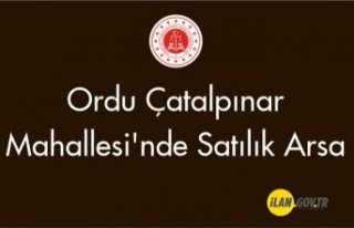 Çatalpınar Merkez Mahallesi'nde arsa satılıktır