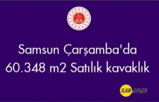 Samsun Çarşamba'da 60.348 m2 Satılık kavaklık