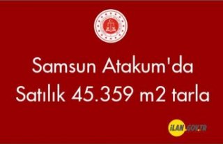 Samsun Atakum'da Satılık 45.359 m2 tarla