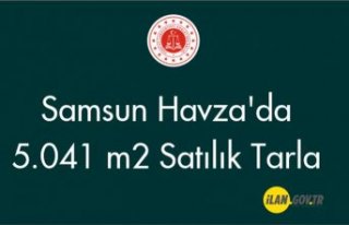 Samsun Havza'da 5.041 m2 Satılık tarla