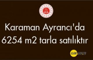 Karaman Ayrancı'da 6254 m² tarla satılıktır